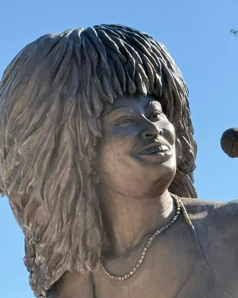 Tina Turner se răsucește-n mormânt. Fanii cred că statuia a fost comandată pe Temu