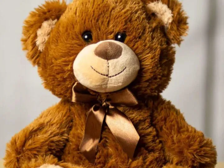 Bancuri. Familia merge într-un parc de distracţii şi la un concurs câştigă un ursuleţ de pluş. Continuarea e genială