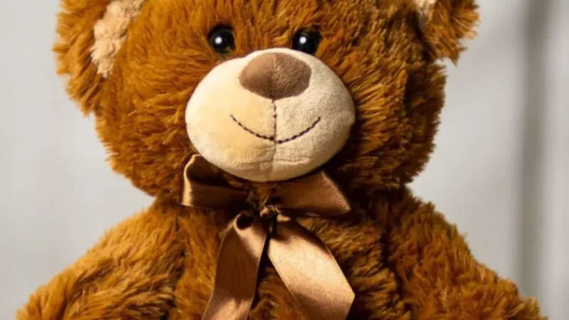 Bancuri. Familia merge într-un parc de distracţii şi la un concurs câştigă un ursuleţ de pluş. Continuarea e genială