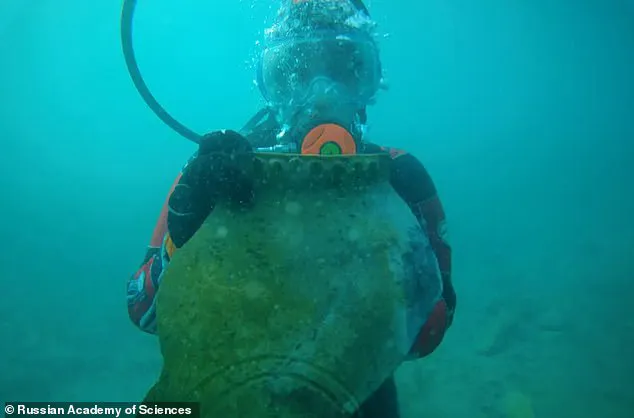 Dovezi despre Atlantida, în inima Asiei: un oraș pierdut pe Drumul Mătăsii, îngropat de un cutremur devastator