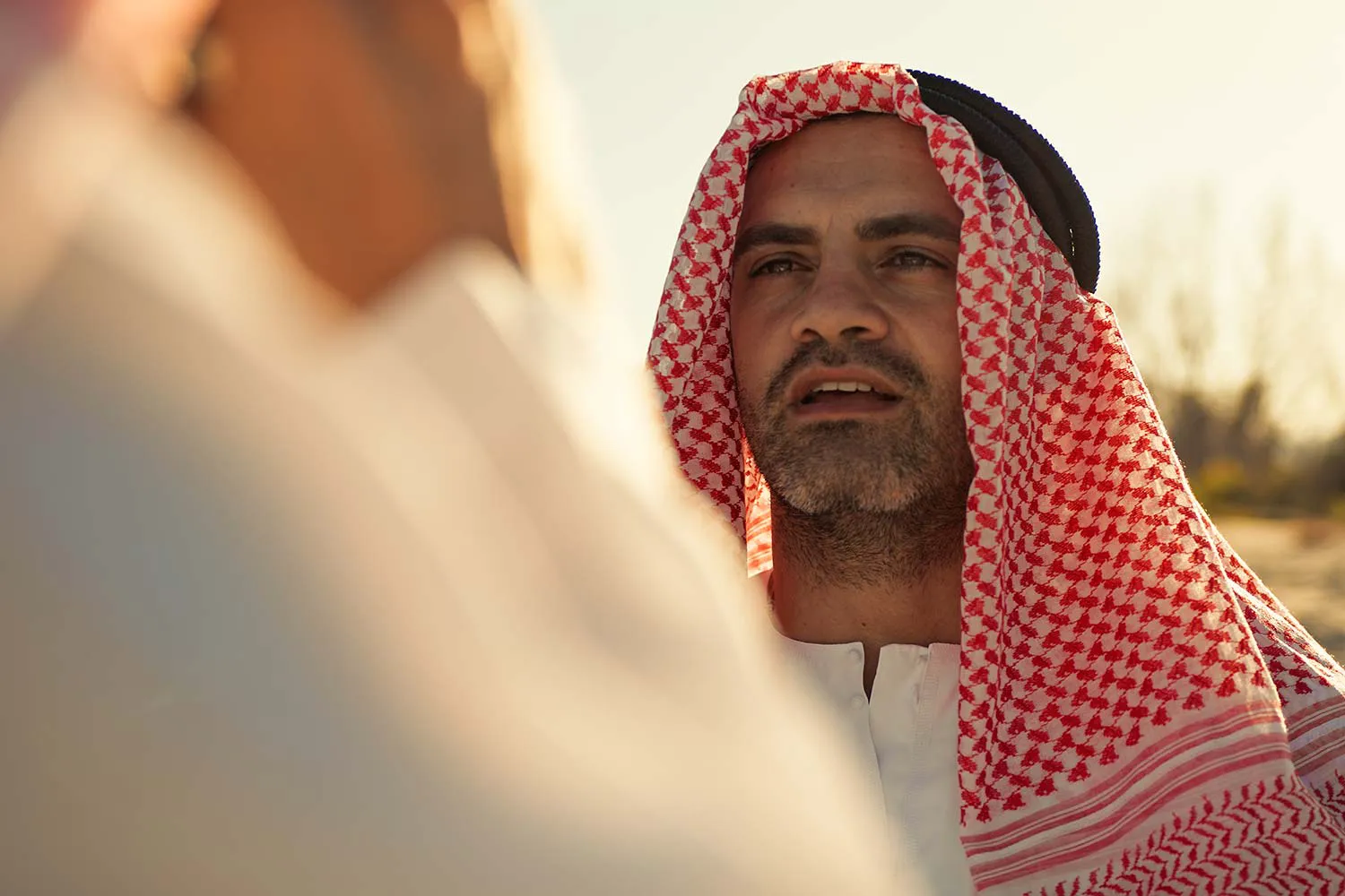 La palatul unui şeic, opreşte un autocar din care coboară un grup numeros de femei – Bancul zilei