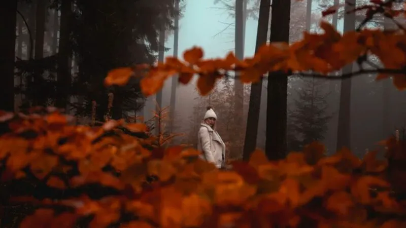 Astenia de toamnă nu e „lene de sezon”. Cum puteți combate rapid simptomele deloc plăcute