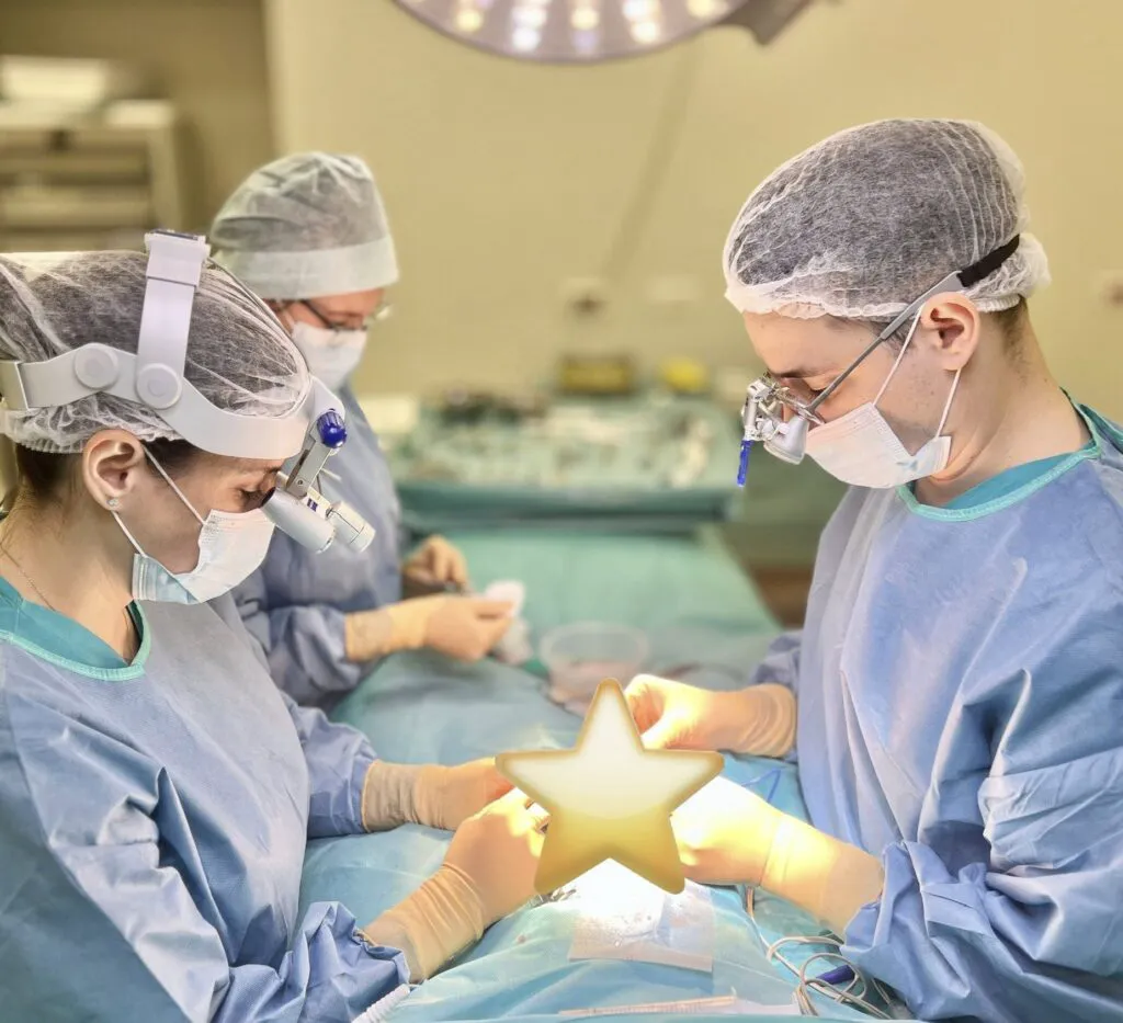 Gemenii din sala de operație: nedespărțiți din viața uterină până în sala de operații