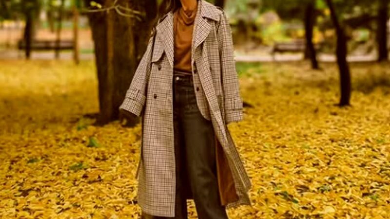 Dana Rogoz a transformat casa din Viscri din ruină în bijuterie. Actrița a fost acuzată însă de favoritism