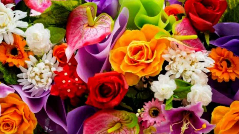 De ce înainte de a pleca în armată, ardeleanul smulge toate florile din grădină. Râzi cu lacrimi