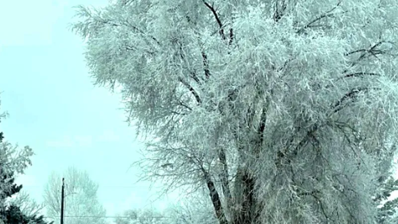 Iarnă extremă în România. Anunțul șocant al specialiștilor ANM