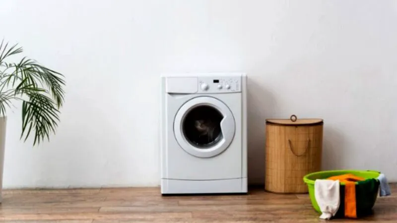 Bancuri. Îi cumpără Gheorghe lui Rozi o mașină de spălat rufe nouă-nouță…