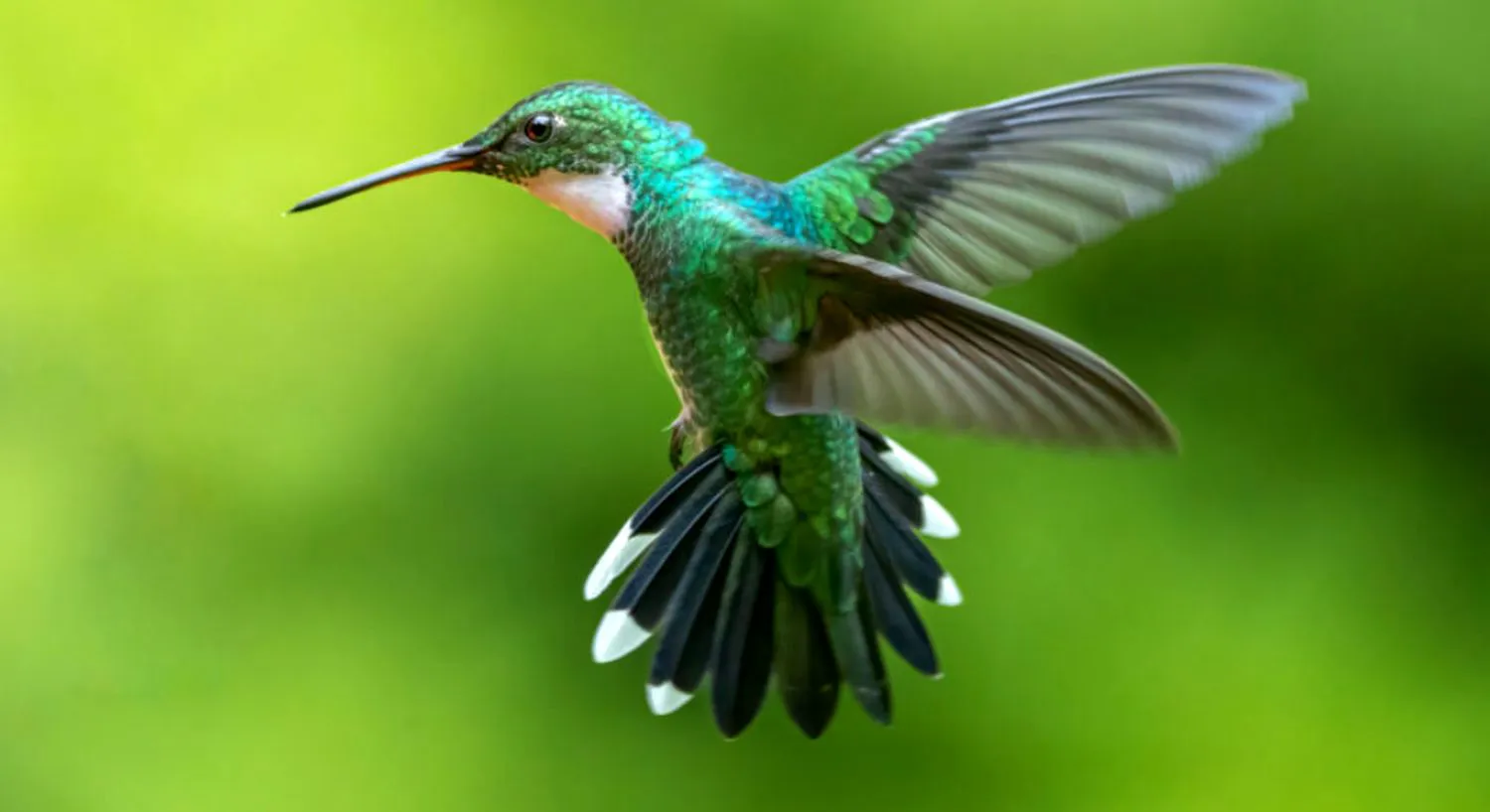 Prințul Harry, vizitat acasă de spiritul reginei Elisabeta după înmormântare. Povestea e tulburătoare