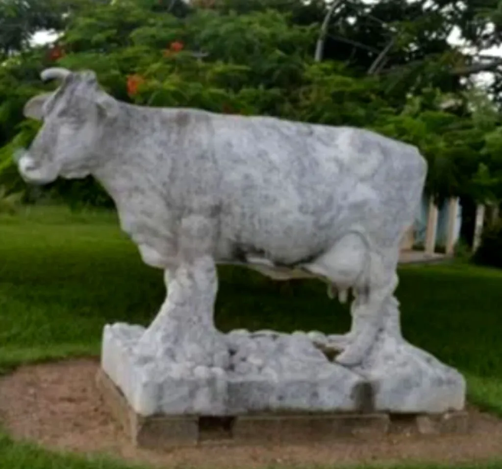 Vaca lui Fidel Castro a trăit ca o regină. Avea grajd cu aer condiționat, asculta muzică simfonică, iar după moarte i s-a ridicat o statuie