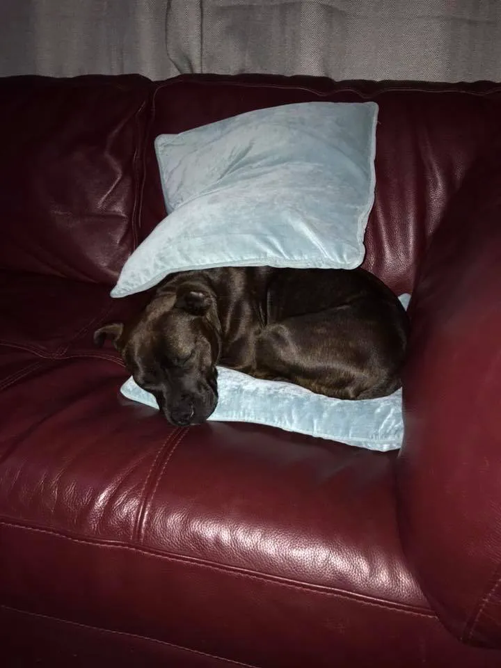 Dispariția studentului în Bucegi - dezvăluiri. De ce a ascuns părinților excursia și ce eveniment marcant a avut loc în 2018