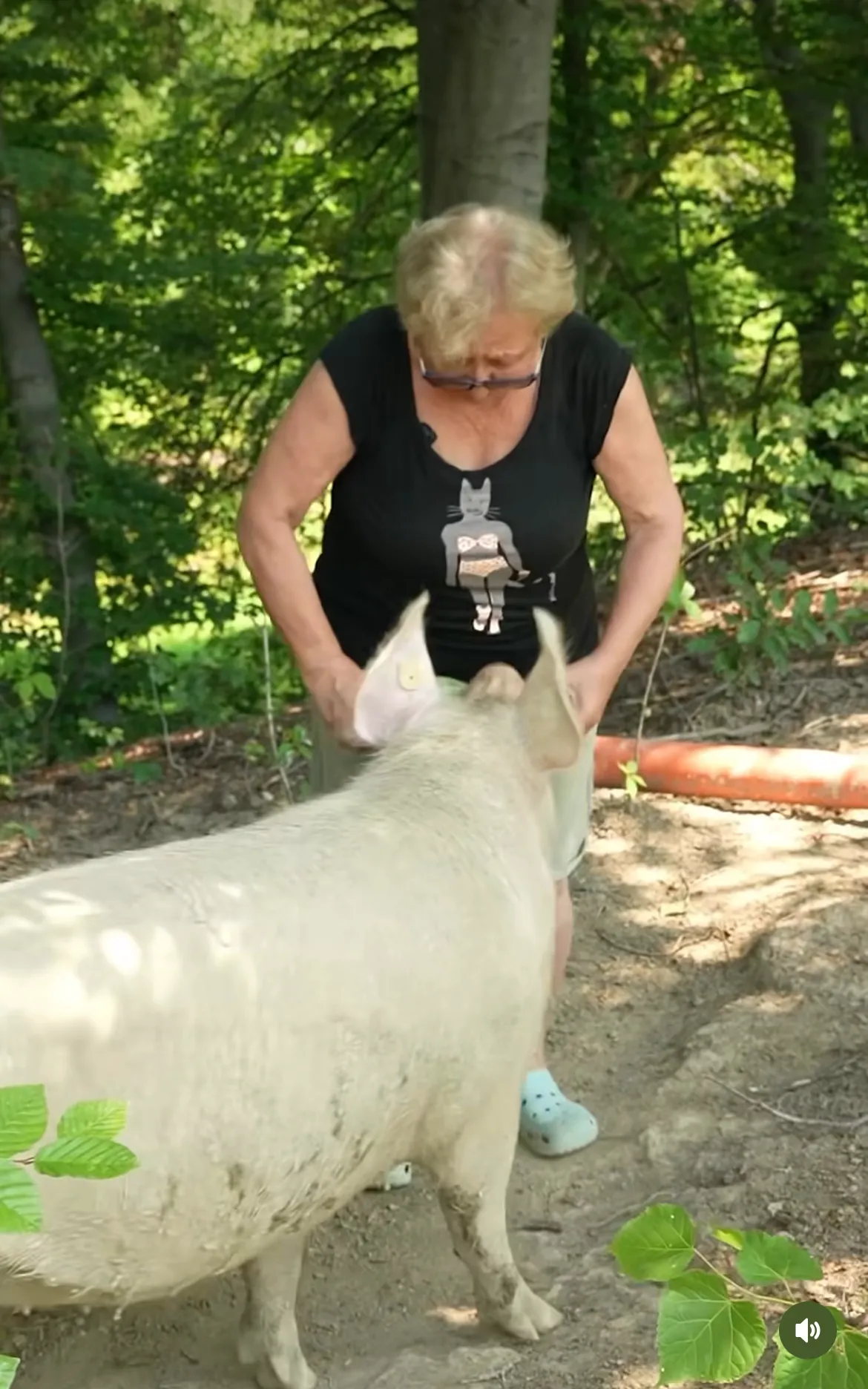 Tatăl lui Dragoș Bucur a venit în control la casa de la țară. Actorul, luat la rost