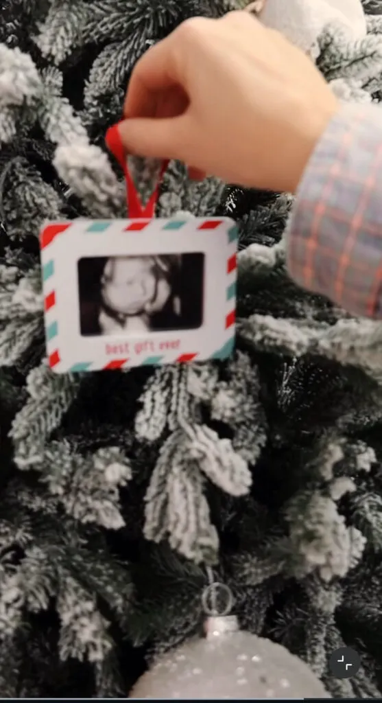 Cum arată Crăciunul în casa lui Smiley. Gina a pus un ornament deosebit în brad