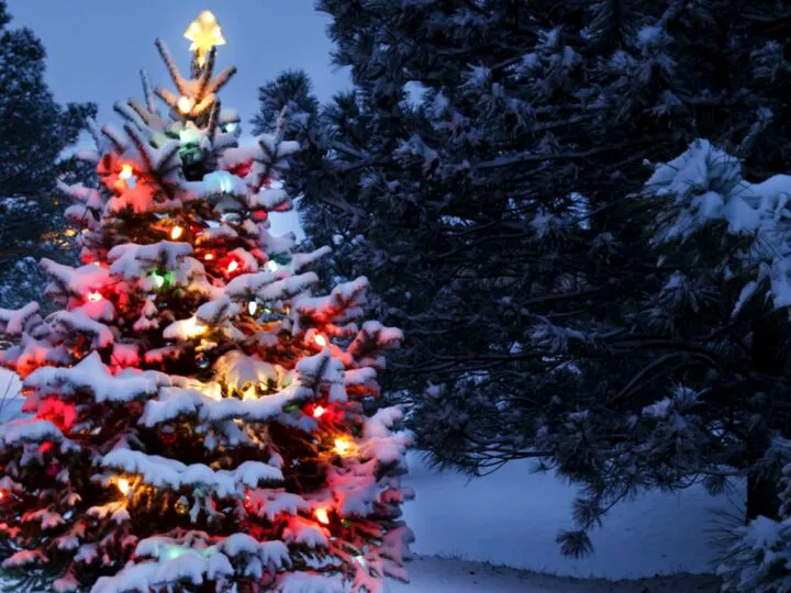 Cele mai frumoase case din lume decorate de Crăciun. Așa ceva nici în povești nu ați văzut