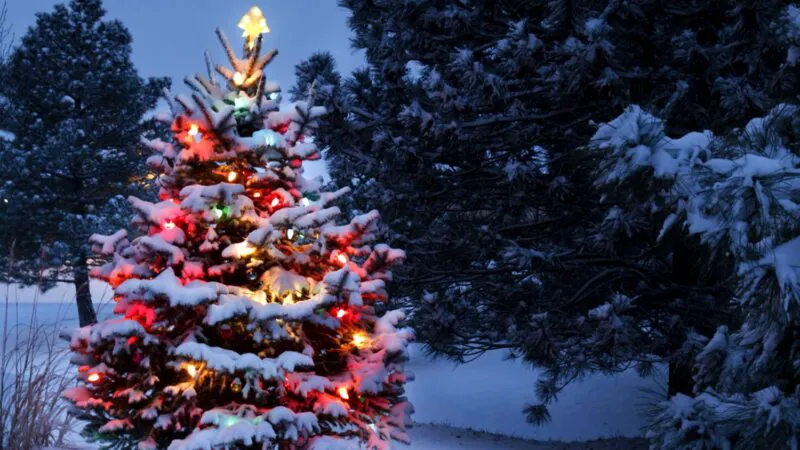 Cele mai frumoase case din lume decorate de Crăciun. Așa ceva nici în povești nu ați văzut