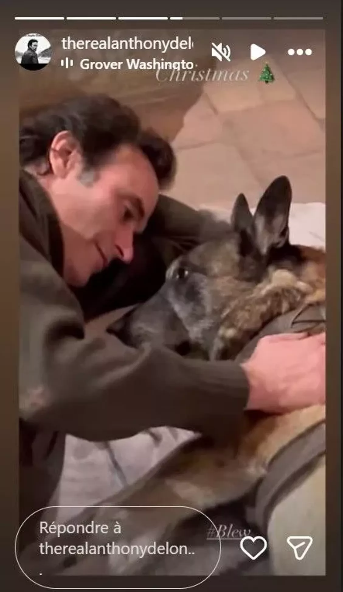 Loubo, iubitul câine al lui Alain Delon, și-a găsit stăpân. Imagini emoționante de Crăciun