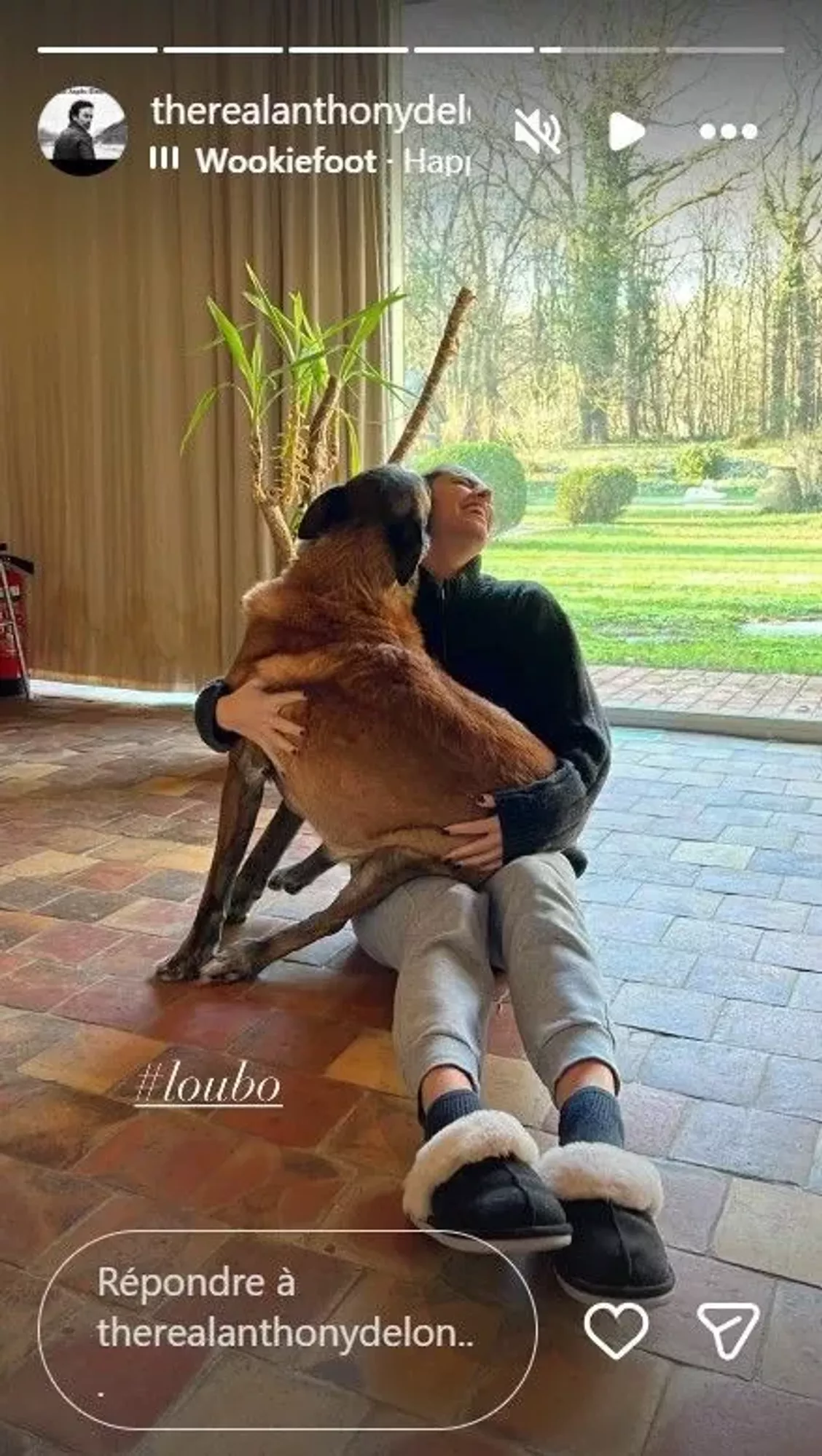 Loubo, iubitul câine al lui Alain Delon, și-a găsit stăpân. Imagini emoționante de Crăciun