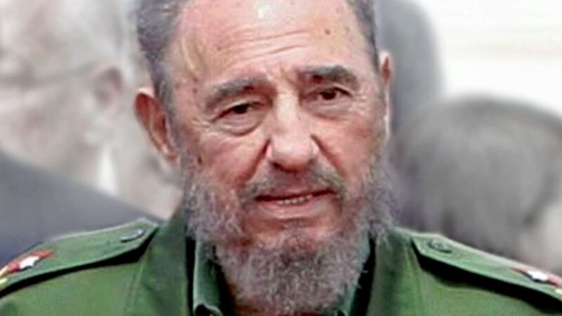 Vaca lui Fidel Castro a trăit ca o regină. Avea grajd cu aer condiționat și asculta muzică simfonică