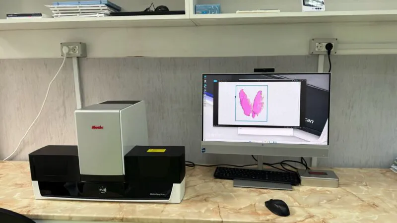 Terapie de ultimă generație pentru cancerele ginecologice, disponibilă gratuit