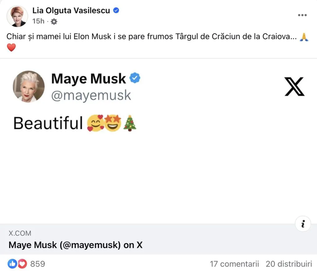 Olguța Vasilescu i-a atras atenția mamei lui Elon Musk: „Beautiful”