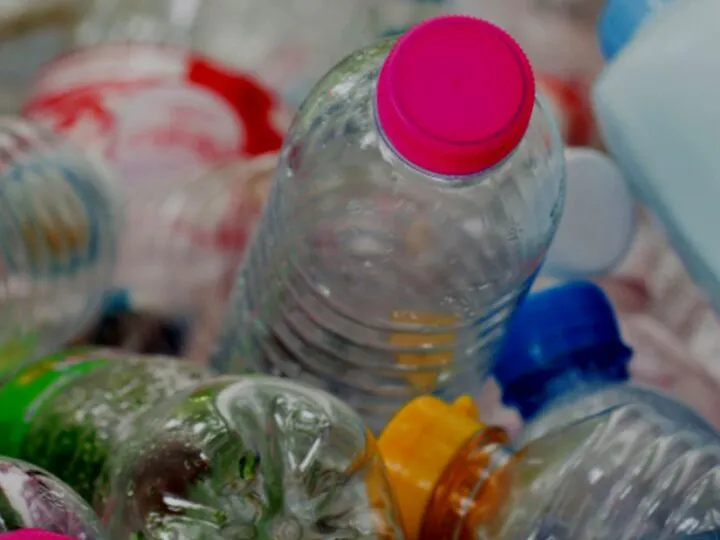 România a devenit exemplu internațional în domeniul reciclării. E campion al protecției mediului