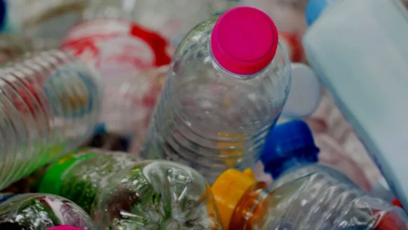 România a devenit exemplu internațional în domeniul reciclării. E campion al protecției mediului