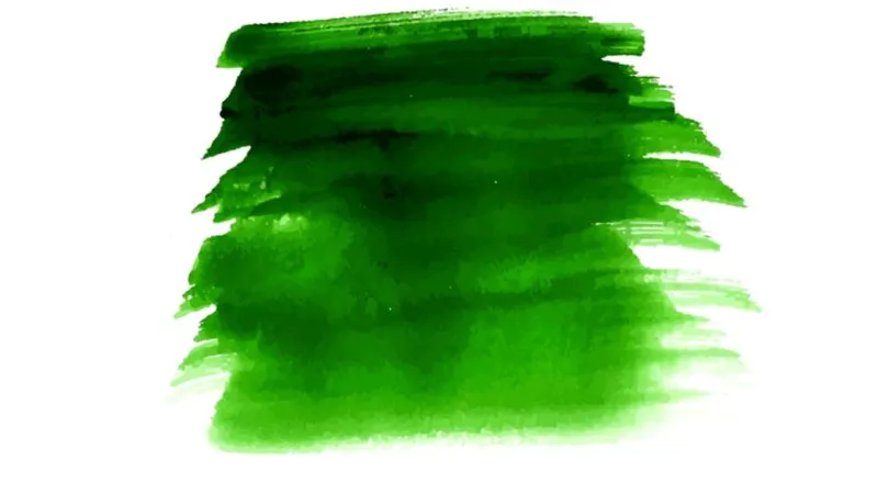 Cine-i? Io, Vasile! Ce vrei la ora asta? Ioane, ai vopsea verde? E genial ce urmează