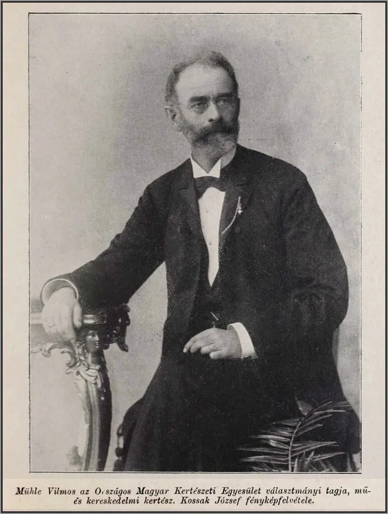 Povestea fostului florar imperial de la Timișoara, care îi trimitea flori împărătesei Sisi. Ce s-a ales de casa sa