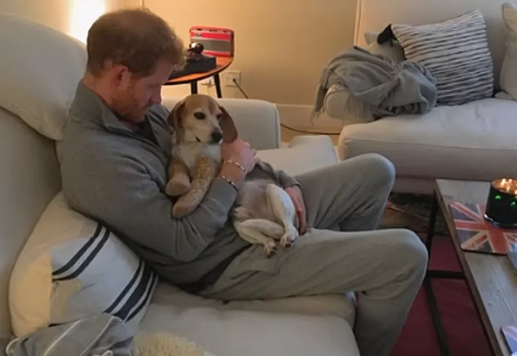 În spatele luxului regal. Ce secrete ascund apartamentele familiei regale britanice