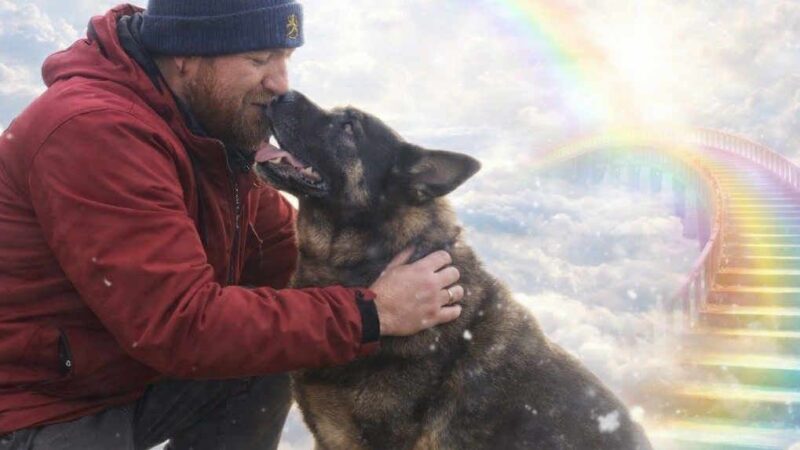 A plecat într-o călătorie și nu s-a mai întors. Ce au descoperit anchetatorii despre un bărbat dispărut cu câinele său