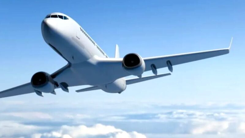 Bancul zilei. Din avion coboară nea Gheorghe cu pantalonii în mână. Incredibil ce urmează