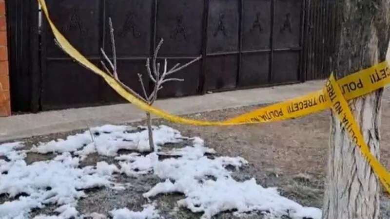 Cazul Mario, manipulat cu Inteligența Artificială. Poliția Română, anunț oficial