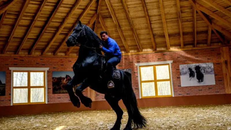 De pe holurile Parlamentului, la șaua calului. Vicepreședintele Camerei Deputaților e un adevărat personaj