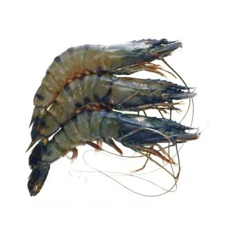 S-a găsit cocaină în apele de pe domeniul regal. Toate animalele sunt infestate