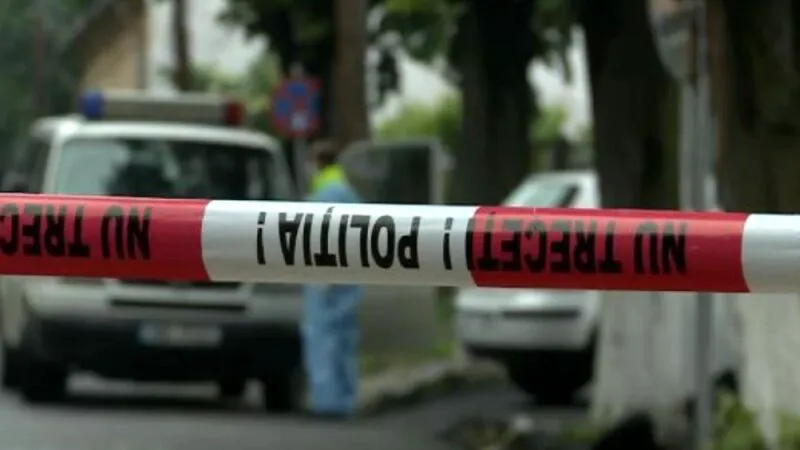Descoperire șocantă în ancheta tragediei din Timiș. Ce vicii ascunse avea criminalul de 13 ani