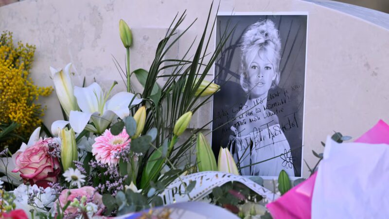 Cine sunt și cum arată urmașii lui Brigitte Bardot. Fiul și familia lui, apariție rară la înmormântare