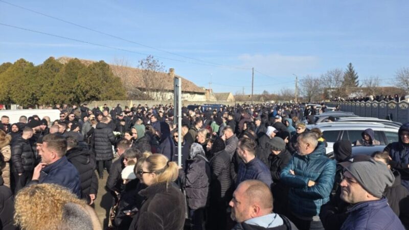 Încă doi tineri de 17 și 24 de ani au fost arestați în urma morții lui Mario. Cazul de la Cenei se complică