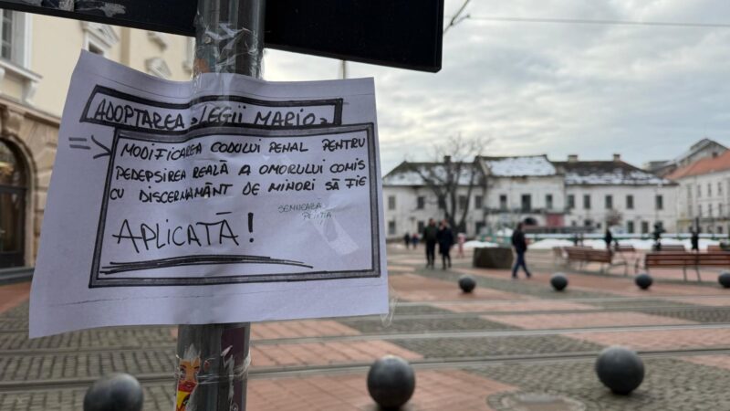 Ultimele noutăți în cazul băiatului ucis la Cenei. Ce s-a întâmplat în această dimineață cu criminalul de 13 ani