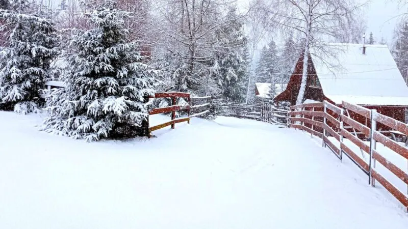 Bancul zilei. Iarna asta a fost atât de frig încât un politician a fost prins… E tare continuarea!