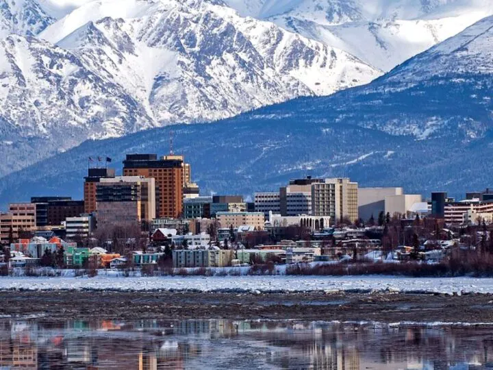 Balto, câinele-erou care a salvat Alaska. Povestea e tulburătoare