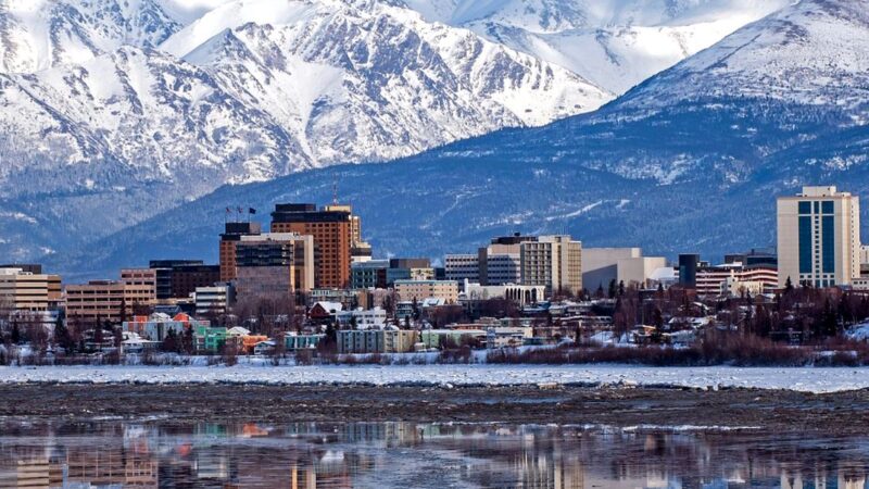 Balto, câinele-erou care a salvat Alaska. Povestea e tulburătoare