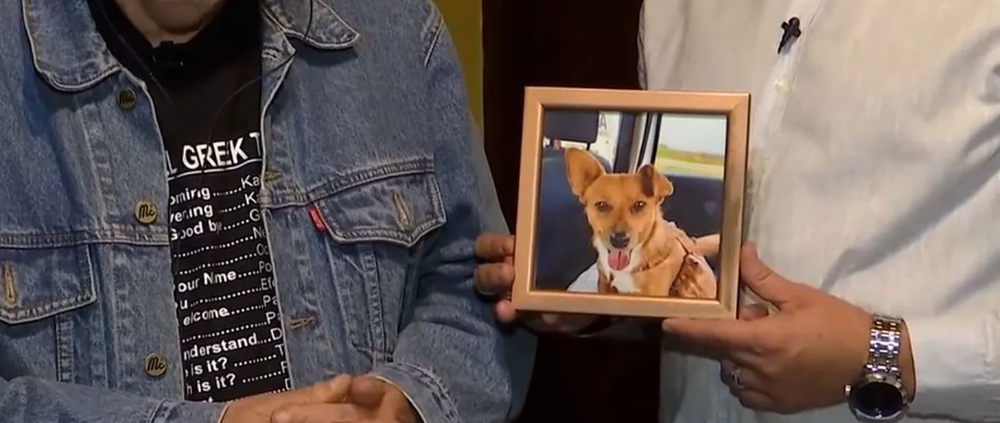 Eugen Cristea, tulburat de mesajele primite de la soția sa, Cristina Deleanu. Cum l-a lăudat Chat GPT-ul