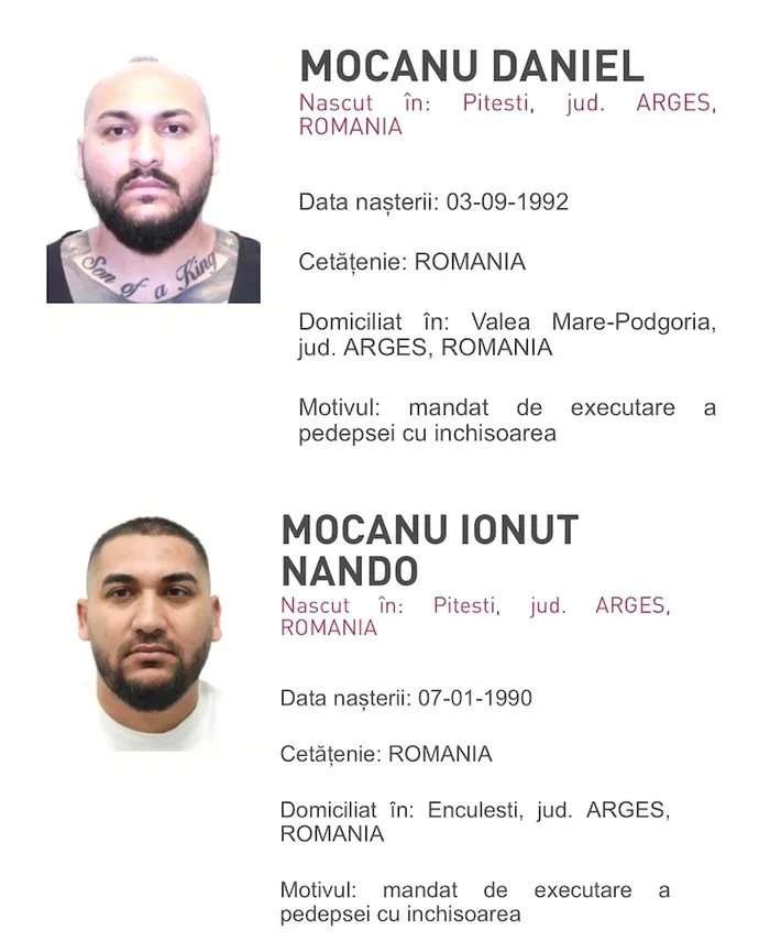 Dani Mocanu și fratele său, Nando, ar putea scăpa de pușcărie. 13 kilograme de droguri ar putea fi cheia lor spre libertate.