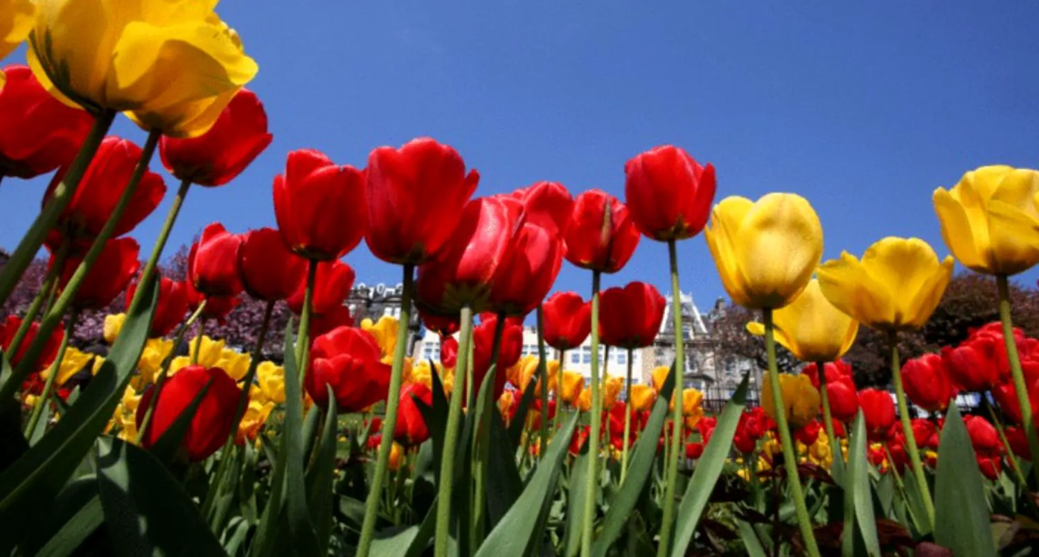 Când ajunge Bucureștiul la temperaturi de 20 de grade. Prognoza meteorologilor pentru aprilie 2026