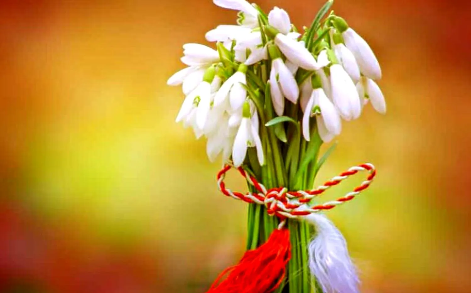 Bancuri. Dragul meu, ia-mi si mie un mărțișor… Continuarea e genială