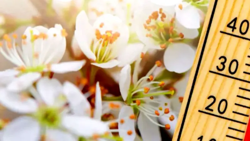 Când ajunge Bucureștiul la temperaturi de 20 de grade. Prognoza meteorologilor pentru aprilie 2026