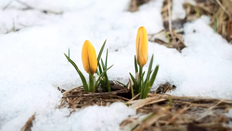 Meteorologii dau ultimele informații despre vreme. Ce îi așteaptă pe români în perioada următoare