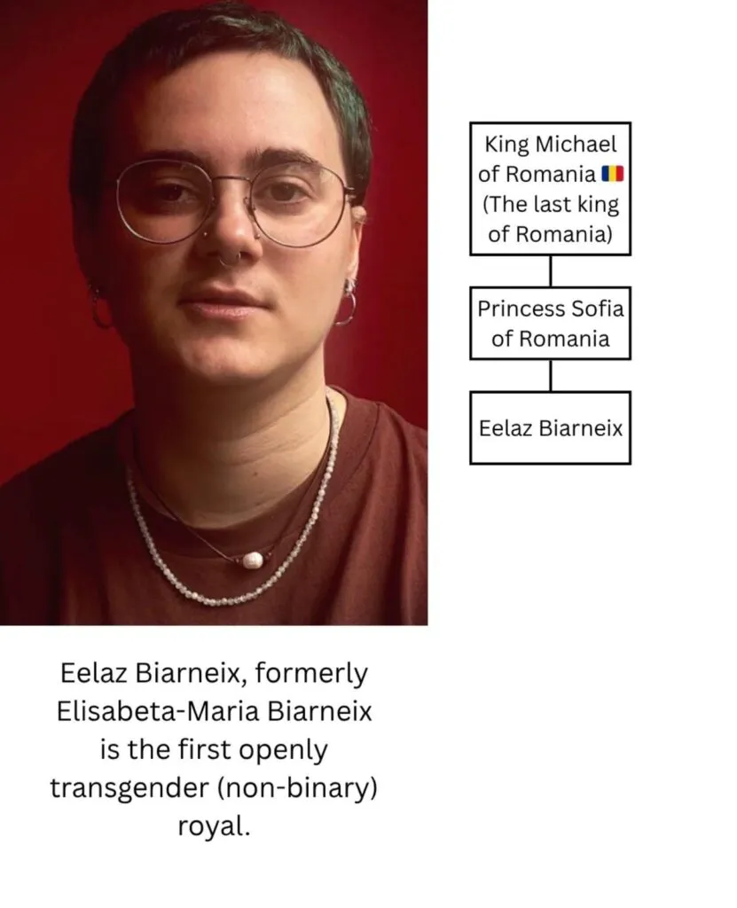 Nepoata trans l-ar fi pus la grea încercare pe Regele Mihai. Pentru o relație cu o femeie, Casa Regală l-a exclus pe prințul Nicolae