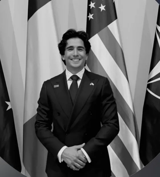 fiul Mihaelei Rădulescu