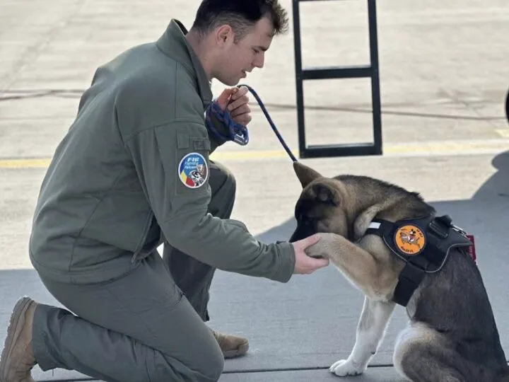 Pilotul de supersonice care a murit salvând un câine făcea parte din elita mondială a aviației. Și-a povestit viața în fața camerelor de filmat – Video