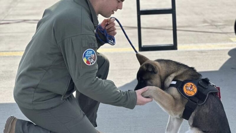 Pilotul de supersonice care a murit salvând un câine făcea parte din elita mondială a aviației. Și-a povestit viața în fața camerelor de filmat – Video